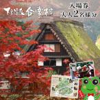 下呂温泉合掌村入場券 2枚