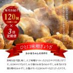 居酒屋のおかあちゃん手作り ひと口味噌ぎょうざ 120個