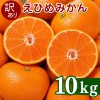 訳あり 愛媛みかん 10kg
