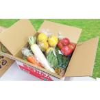 取りたて新鮮 旬の野菜詰め合わせセット
