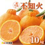 不知火 10kg