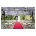 JJ-47 WEDDINGプラン 挙式料のみ
