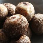 ふるさと納税 加西市 里芋 2025年産 絹里芋 おでん 煮物 おせち 無農薬 野菜類 [No5698-0008]