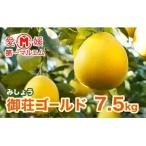 第一マルエムの御荘ゴールド 産の河内晩柑 7.5kg