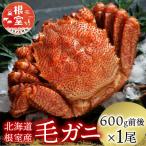 毛がに600g前後×1尾 B-21006
