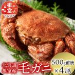 毛がに500g前後×4尾 D-21004