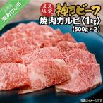 ふるさと納税 南あわじ市 神戸ビーフ　メス限定　焼肉カルビ　1kg(500g×2P)