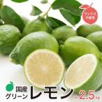 みかん職人のグリーンレモン りのか 2.5kg