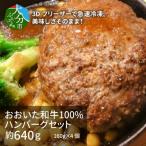 おおいた和牛100%ハンバーグセット