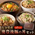 奥豊後豚の丼セット 計7パック