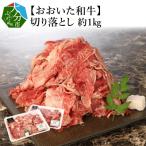 おおいた和牛 切り落とし 約1.0kg_A01095