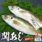 関あじ 鮮魚セット 2尾_E04023