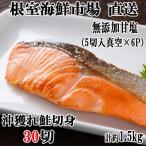 ふるさと納税 根室市 沖獲れ鮭5切×6P(計30切、約1.5kg) A-11009