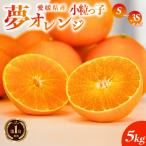 ふるさと納税 愛南町 【訳あり品】みかん職人の夢オレンジ 小粒っ子5kg みかん オレンジ 柑橘 愛南町 みかん職人武田屋