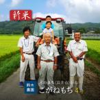 鈴木 ファーム こがねもち 4kg