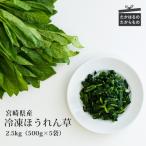 九州産 冷凍ほうれん草2.5kg 500g×5袋