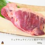 THEジビエ 自然を食べる ~リュウキュウイノシシ