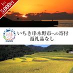 いちき串木野市への寄付（返礼品なし）