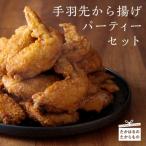 手羽先から揚げパーティセット TF0431-P00033