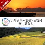 いちき串木野市への寄付（返礼品なし）