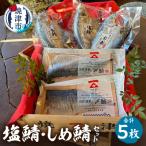 a14-140 塩鯖としめ鯖セット さば