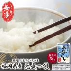 ふるさと納税 福智町 無洗米 元気つくし5kg