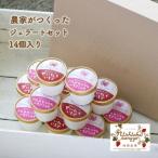 農家がつくったジェラート14個入