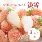 ふるさと納税 豊後高田市 【先行受付】白いちご「淡雪」・2パック入×1箱