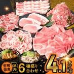 ふるさと納税 都農町 宮崎県産豚肉6種盛り合わせセット(合計4.1kg) 肉 豚 豚肉 おかず 国産_T030-204