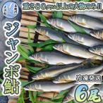 清流が育む天然の馬瀬川鮎 6尾