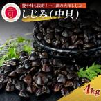十三湖産 大和しじみ 中貝 4kg