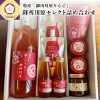 中まで赤~いりんご 御所川原 セレクト