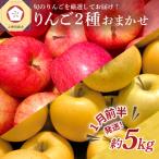 りんご 青森産 約5kg