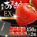 いちご 博多あまおう EX 用化粧箱 約450g