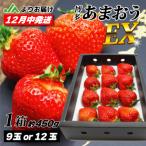 博多あまおう EX 用化粧箱 約450g
