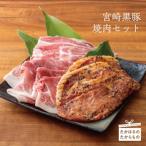 宮崎黒豚焼肉セット TF0388-P00007