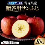 りんご 約10kg