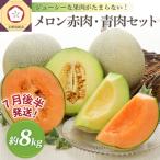 ふるさと納税 五所川原市 【2026年7月後半発送】津軽のメロン 約8kg (赤肉・青肉セット) 4〜6玉・秀〜優 青森県産