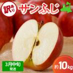 ふるさと納税 五所川原市 【2026年3月中旬発送】 【訳あり】 りんご 10kg サンふじ 青森 不揃い