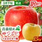 りんご15kg有袋ふじ