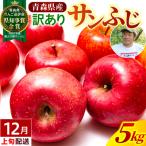 りんご 約5kg