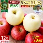 りんご 葉とらずサンふじ 約5kg
