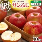 りんご 1月後半発送 訳あり 葉とらずサンふじ 約10kg