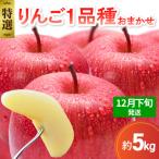 旬の美味しい りんご 約5kg