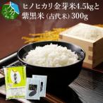 ふるさと納税 大分市 ヒノヒカリ金芽米4.5kgと紫黒米(古代米)300g_B01013