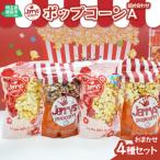 ポップコーン詰め合わせA おまかせ4種類