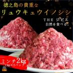 ~THEジビエ 自然を食べる ~リュウキュウイノシシ2kg
