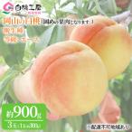 固めの桃 白桃 晩生種 3玉