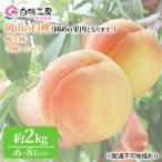 固めの白桃 晩生種 2kg