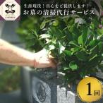 お墓の清掃代行サービス 1回分